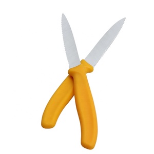 Vendita calda 3Cr13 <span class=keywords><strong>in</strong></span> <span class=keywords><strong>acciaio</strong></span> inox 2pcs coltello <span class=keywords><strong>da</strong></span> <span class=keywords><strong>bistecca</strong></span> con manico ergonomico <span class=keywords><strong>in</strong></span> plastica - Product Image 5