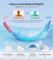Ultra Soulagement De La Douleur Refroidissement Mousse À Mémoire Cou Soutien Oreillers De Lit Hauteur Réglable Sommeil Confortable Ergonomique Usine En Gros