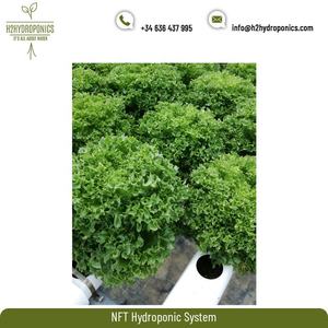 Système hydroponique en plastique PVC NFT Gully - Product Image 3