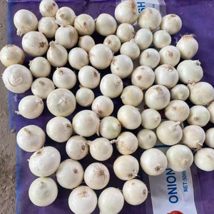 Cebolla Fresca Roja, Amarilla y Blanca, <span class=keywords><strong>Precio</strong></span> al por Mayor para Exportación - Product Image 3