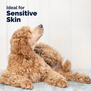 OEM/ODM Marca Privada, Golosinas Naturales Anti-Picazón para Perros y Gatos, Suplementos para la Alergia, Salud Inmunológica, Piel y Pelaje, Absorción Rápida - Product Image 6