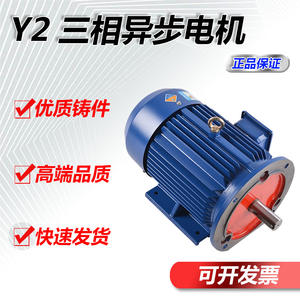 Moteurs asynchrones à courant alternatif à fréquence variable de série Y2, haute puissance, haute tension, 4 kW, 4 phases, cuivre pur, norme nationale - Product Image 4