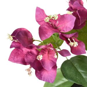 Mewah 3D dicetak pohon palsu 69cm buatan bugenvil pohon bunga dengan tekstur seperti hidup - Product Image 5