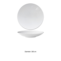Coup Nouvelle Cuisine Plate 30 cm Bol 435