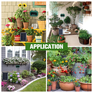 Kit de globes <span class=keywords><strong>d</strong></span>'<span class=keywords><strong>arrosage</strong></span> pour serre de jardin, micro-pompes <span class=keywords><strong>à</strong></span> <span class=keywords><strong>goutte</strong></span> <span class=keywords><strong>à</strong></span> <span class=keywords><strong>goutte</strong></span>, équipement <span class=keywords><strong>d</strong></span>'hydroponie solaire, système <span class=keywords><strong>d</strong></span>'irrigation automatique <span class=keywords><strong>à</strong></span> <span class=keywords><strong>goutte</strong></span> <span class=keywords><strong>à</strong></span> <span class=keywords><strong>goutte</strong></span> - Product Image 6