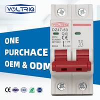 Interruptor Automático Miniatura (MCB) VOLTRIQ AC DZ47 de 2 Polos, 6A, 10A, 16A, 20A, 32A, 40A, 50A, 63A, Tipo C, Montaje en Riel DIN de 35 mm, Capacidad de Ruptura 6kA