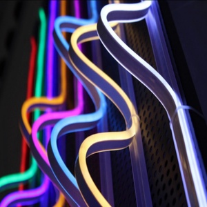 AC 110 220V Flexible LED Neon Strip <strong>Lights</strong> Waterproof 2835 SMD LED <strong>Rope</strong> <strong>Light</strong> - Product Image 3