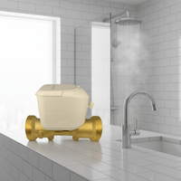 Compteur de débit d'eau ultrasonique fileté MAINONE OEM en laiton IP68 15 mm RS485/M-BUS/LORA/LORAWAN/Pulse R400