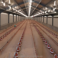 Structure de poulailler préfabriquée haute résistance, résistante au vent, en acier galvanisé, pour la construction de bâtiments d'élevage avicole, marque JIEKE