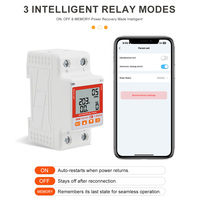 DIY GO WIFI 110V 220V 63A Smartlife TUYA Mini disjoncteur intelligent avec compteur d'énergie, minuterie, protection contre les surtensions, les surintensités et les fuites de courant