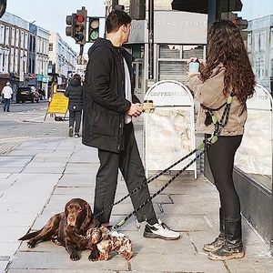 Laisse Réfléchissante Mains Libres pour Chien, Réglable, pour Petits et Grands Chiens - Product Image 3