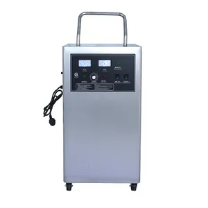 20g/h Ozone Generator for Restaurant Kitchen Air Purifying Ozone Water Washing Vegetables