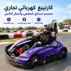 Kart électrique 2026 de nouvelle conception pour adultes et adolescents, vitesse 60 km/h, <span class=keywords><strong>karting</strong></span> de drift commercial de haute qualité, moteur brushless 64V 2000W - Product Image 1