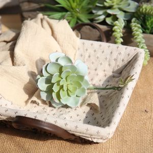 2024 Planta Natural <span class=keywords><strong>Echeveria</strong></span> Lenore Dean Artificial Interior Suculenta - Product Image 5