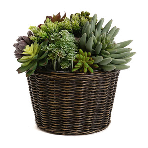 Maceta Rústica de Mimbre Tejido Color Caramelo, Maceta para Plantas de Interior, Cesta de Almacenamiento para Decoración del Hogar - Product Image 1