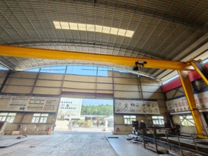 Grúa de pórtico de 20 toneladas montada en riel de viga única estándar europea para exteriores para productos de acero en movimiento y elevación - Product Image 2