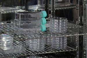 Essendo lo schermo LCD a temperatura costante incubatore di convezione della natura del laboratorio di microbiologia - Product Image 4