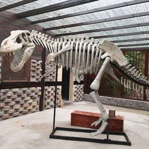 Sculpture en fibre <span class=keywords><strong>de</strong></span> verre dinosaure squelette fossile <span class=keywords><strong>tyrannosaure</strong></span> Rex crâne squelette modèle musée exposition accessoires scientifiques populaires - Product Image 1