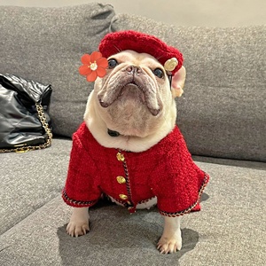 Ropa <span class=keywords><strong>de</strong></span> Diseño para Perros, Chaqueta <span class=keywords><strong>de</strong></span> Tweed Roja, Sombrero <span class=keywords><strong>de</strong></span> Boina, Traje para <span class=keywords><strong>Bulldog</strong></span> Francés, Pug y <span class=keywords><strong>Razas</strong></span> Pequeñas - Product Image 5