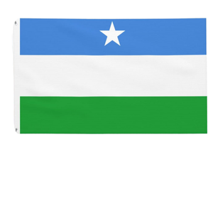 Banderas Multinacionales 100% Poliéster para Exteriores, Bandera de Nicaragua Azul y Blanca, Banderas Personalizadas de Países del Mundo - Product Image 1