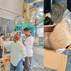 Электрическая тефф мельница тефф шлифовальная машина в Эфиопии, промышленное производство пшеничной муки - Product Image 5