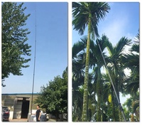 Betelnoten Oogstmachine 18 Meter 60ft Koolstofvezel Telescopische Paal Voor Het Oogsten Van Boomvruchten Arecanut Voor Vogels Zitstokken