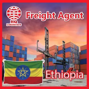 Servicio de carga a addis ababa, lcl a Etiopia, envío rápido por dhl desde china a Etiopia