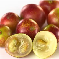 Extrait de Camu Camu en poudre de qualité alimentaire conforme aux normes GMP, 5%-25% de vitamine C, extrait par solvant, 100% soluble dans l'eau, 80 Mesh, en fût