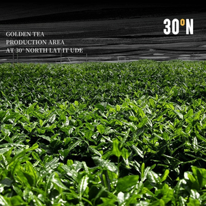 Organik çin ab sertifikası organik <span class=keywords><strong>Matcha</strong></span> <span class=keywords><strong>Sencha</strong></span> Hojicha çaylı içecek tören sınıfı toz yeşil çay çay tozu - Product Image 2