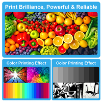 Kartrid Toner Warna Premium Berkualitas Tinggi PMI PCI Kompatibel untuk CS317/CX317/CX417/CX517 dengan Chip, Hasil Cetak 2300-6000 Halaman