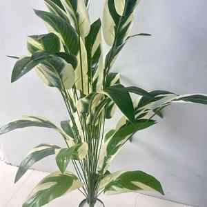 <span class=keywords><strong>Piante</strong></span> Artificiali di Alta Qualità all'Ingrosso, Decorazioni per la Casa, <span class=keywords><strong>Piante</strong></span> <span class=keywords><strong>Sempreverdi</strong></span> in Vaso, Decorazioni per Giardini, Feste e Hotel - Product Image 5