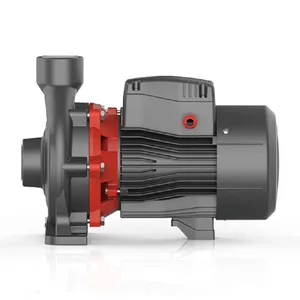 LEO ACm-B2 Series 2 Inches Cast Iron Centrifugal Water Pump 0.6kw 0.75kw 1.1kw 1.5kw