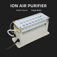 Wholesale Bipolar Ion Generator Non-Consumable Negative Ionization for Household Car RV Air Cleaning Purifiers