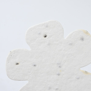 Hojas de papel personalizables de semillas de flores y hierbas Diseño de forma biodegradable Favores de boda - Product Image 1