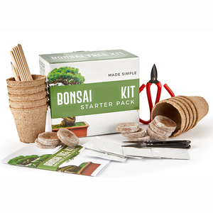 <span class=keywords><strong>Kit</strong></span> de bonsái para principiantes con herramientas simples y completas - Product Image 1