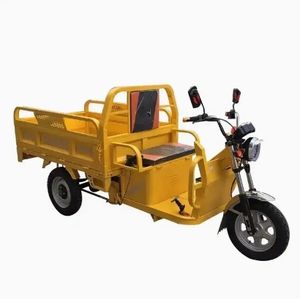Tricycles électriques à trois roues à prix d'usine pour vélo cargo à usage agricole avec EEC Coc pour camion, taxi et transport privé - Product Image 1