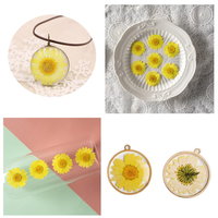 Fleurs séchées pressées multicolores, mini marguerites naturelles pressées, marguerites séchées plates pour résine époxy, porte-clés, collier, décoration d'ongles