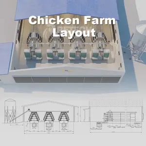 Sistema automatico della gabbia dello strato del pollame della gabbia delle galline ovaiole di tipo A da vendere