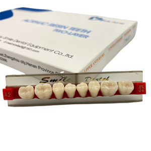 Acrylic Resin Teeth <b>Denture</b> Posterior Teeth Dental 2-layer Synthetic Resin Teeth - Product Image 4