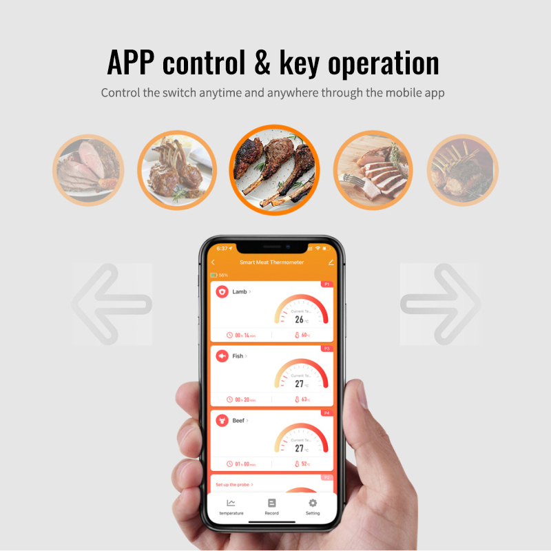 HIMOJO Tuya Wifi Smart BBQ Barbecue Grill Meat Thermometer Smart Life APP Probe Type Water Temperature Measurement