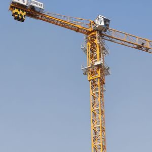 8 Ton Yük Kapasiteli Düz Tavanlı Kule Vinç QTZ125 6015 42.8m Serbest Yükseklikli Kule Vinç Tedarikçisi CE Belgeli - Product Image 2