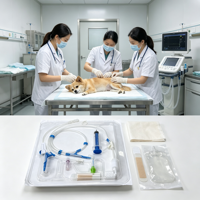 Kit de thoracocentèse avec guide-wire pour le drainage de l'ascite chez le chat