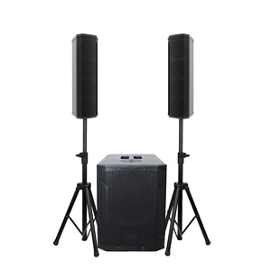 Loa siêu trầm chuyên nghiệp Accuracy Pro Audio WI312AD, hệ thống loa cột, dùng cho sân khấu, DJ, tiệc tùng, rạp hát gia đình. - Product Image 1