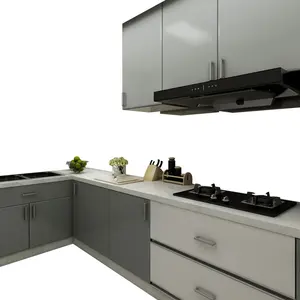 Professional Modular Kitchen Cabinets Melamine Kitchen Cabinet Cheap Custom Size with Kitchen Sink Cabinets