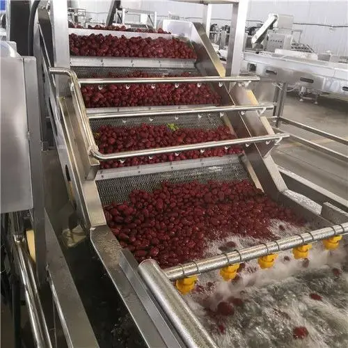 200kg/h Small Date Fruit Syrup Molasses Production Line /palm Date Juice Processing Line