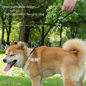 Guinzaglio Universale Retrattile per Cani Stile P Anti-Fuga Anti-Soffocamento in <span class=keywords><strong>Tessuto</strong></span> Modello 212 – Strumento Essenziale per Passeggiate con il Cane - Product Image 3