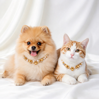 Colliers et accessoires de luxe pour animaux de compagnie : Collection de colliers perlés en perles, bijoux en pierres précieuses et cristaux, motif nœud pour chats et petits chiens
