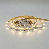 Bande lumineuse LED 12V basse tension, éclairage 30 points, design à montage en surface, support auto-adhésif, barre lumineuse de comptoir IP20 Ra80 LED