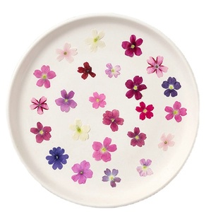 12 pièces/sac variété de <span class=keywords><strong>verveine</strong></span> couleurs naturelles <span class=keywords><strong>fleur</strong></span> pressée pour la décoration d'art d'ongle - Product Image 1