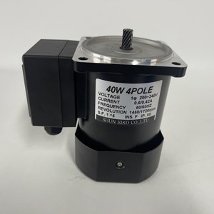 Motor de Inducción Shun Eiko de 40W y 4 Polos - Product Image 1